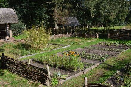 Das Bild zeigt den Gemüse- und Kräutergarten am Sachsenhof