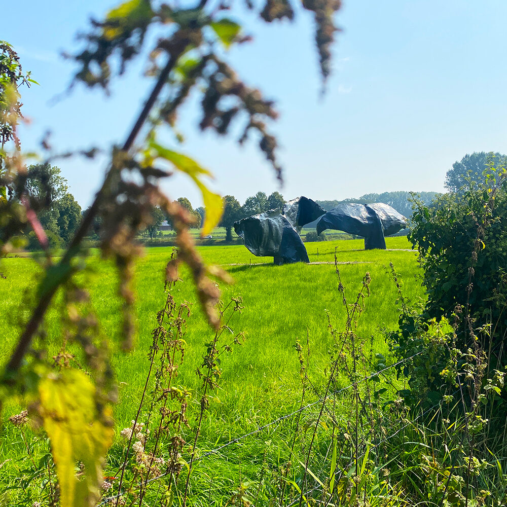 endless - Anlieferung der Walfluken in Greven am 05.09.2024